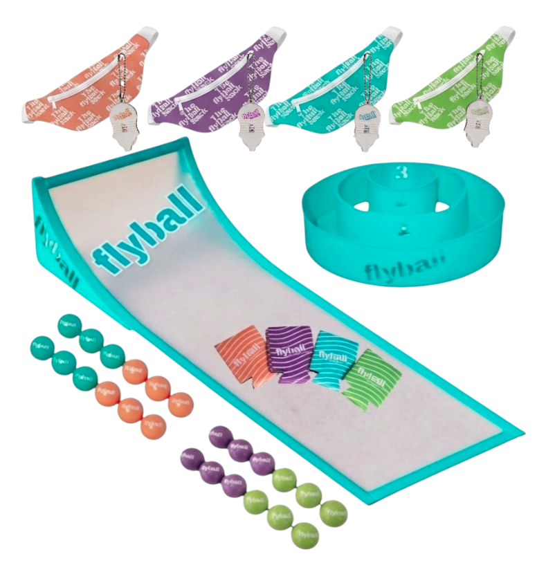 FLYBALL PARTY set