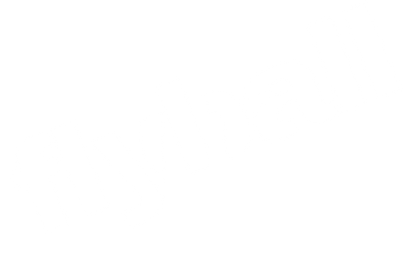 flyballgame