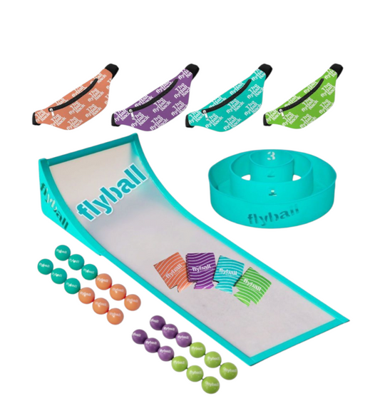 NEW!! FLYBALL PARTY set