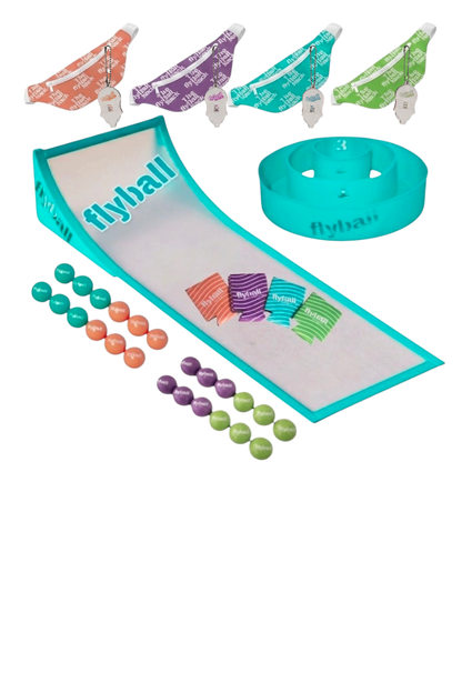 FLYBALL PARTY set