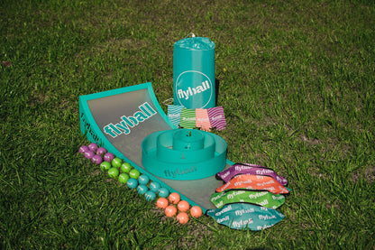 NEW!! FLYBALL PARTY set