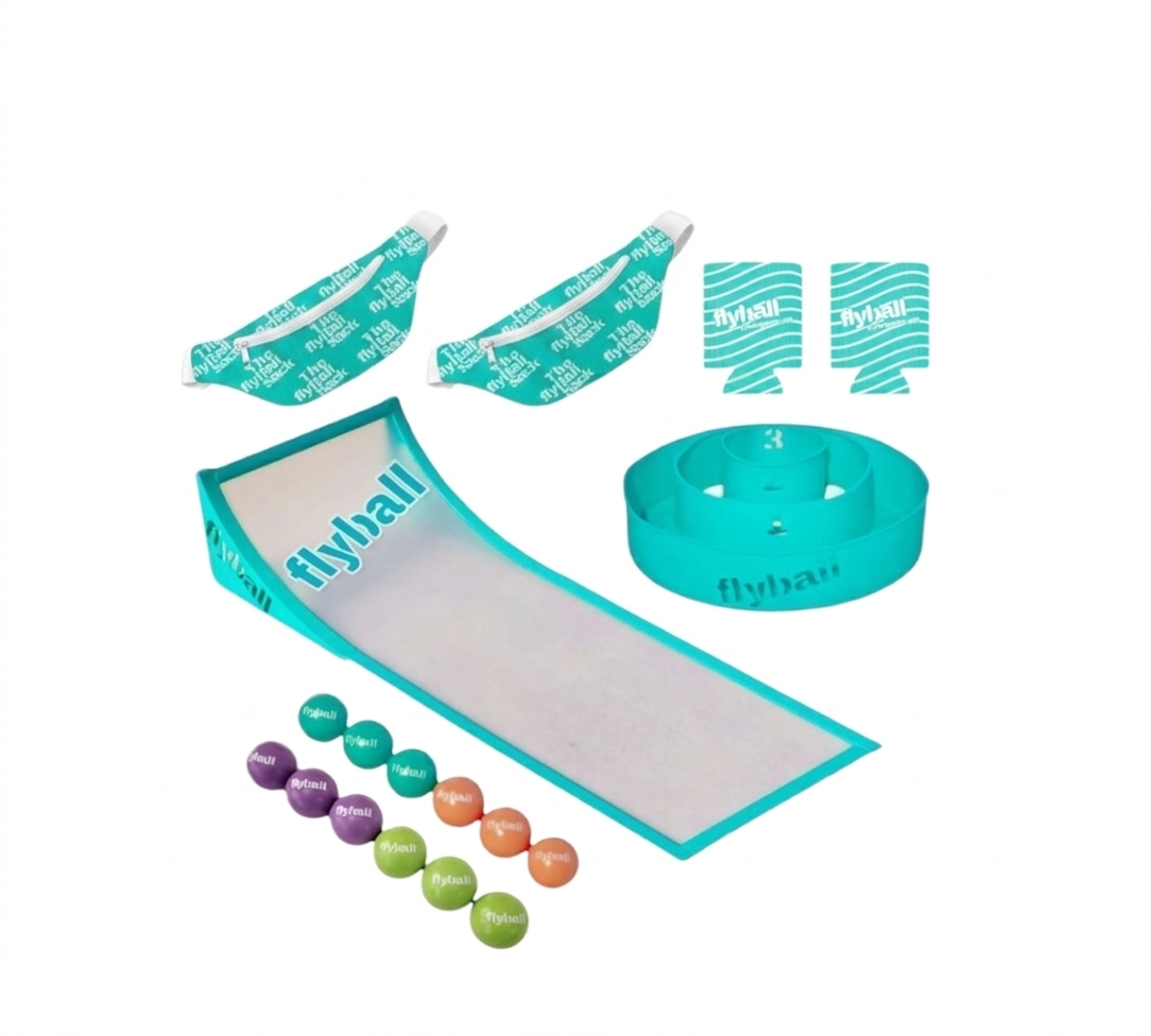 FLYBALL PRO set