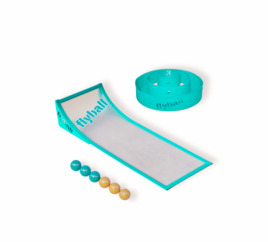 flyball game set